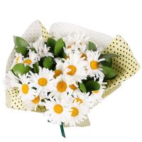 Bouquet of flowers Chamomile Krivoy Rog
                            