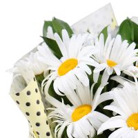 Bouquet of flowers Chamomile Krivoy Rog
                            