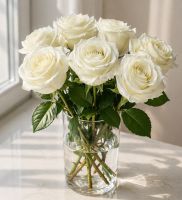 Rose Mondial by piece 90 cm Numbrecht