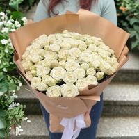 Акція! 101 біла троянда, Давос