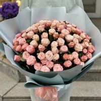 Promo! 101 pink roses 40 cm, Pechenegi
