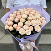 Promo! 51 creamy roses, Abenberg