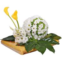  Bouquet Big snail Kropyvnytskyi
                            