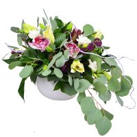 Букет квітів Малахітовий Бердичів
                            