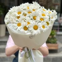 Букет ромашек (25 шт) Киев
