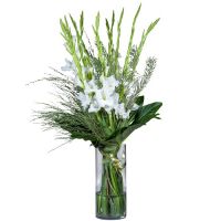 Лучи силы Крыжополь