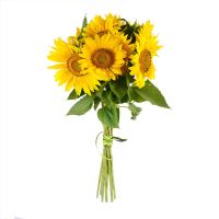  Bouquet Of sunflowers Uzhgorod
                                