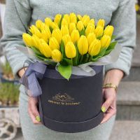 Желтые тюльпаны в коробке 45шт Яворнитское