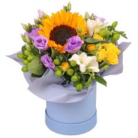 Compliment in a box Montreal