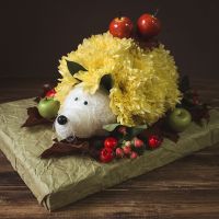  Bouquet Flower hedgehog Berdichev
                            