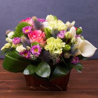  Букет Краски Холи Николаев
                                