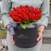 Червоні тюльпани в коробці 45шт К'янчіано-Терме