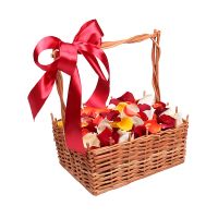 Multi-colored rose petals Virginia Water