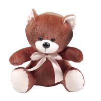 Мишка Руди Абу-Даби