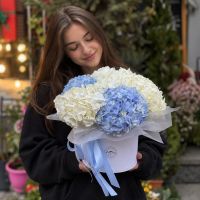 Ніжні гортензії в коробці 5шт, Ужгород