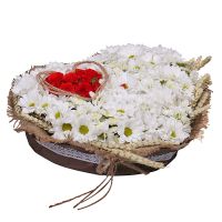  Bouquet Camomile Heart Belgorod_dnestrovskiy
                            