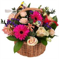  Bouquet Forest music Brovari
                            