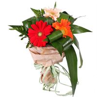  Bouquet Grace gerberas Ternopol
                            