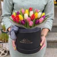 Різнокольорові тюльпани в коробці 45шт Бердичів