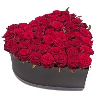 51 red roses in a box Peine