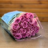 Rose Аква 50 cm (20 pcs), Borgo-Majore