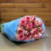 Rose Jumilia 50 cm (20 pcs), Borgo-Majore