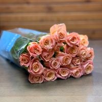 Троянда Міс Піггі 50 см (20 шт), Сант'яго (Чілі)