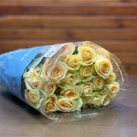 Rose Peach Avalanche 50 cm (20 pcs), Borgo-Majore