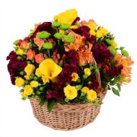  Bouquet Warm autumn Chornomorsk
                                
