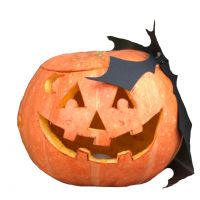 Фонарь из тыквы Мукачево