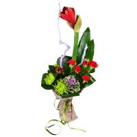 Bouquet of flowers High Rovereto
                            