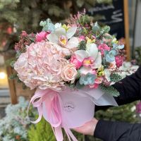 Новий рік Житомир