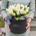 White tulips in a box 45pcs, Rokytne (Kyiv region)