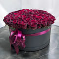 101 red roses in a box, Aarau