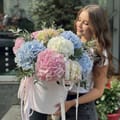 Hydrangea mix in a box XXL, Birmingham (Great Britain)