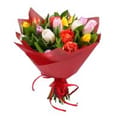 19 multi-colored tulips, Shumsk