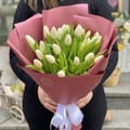 25 белых тюльпанов, Дублин (Ирландия)