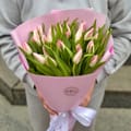 25 розовых тюльпанов, Дублин (Ирландия)