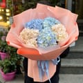 5 hydrangeas, Belozerka