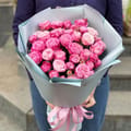 9 pink spray roses, Magdeburg