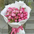 Spray roses 13pcs Pink dream, Varna