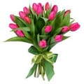 Spring Offer, Shumsk