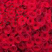 Bouquets with roses