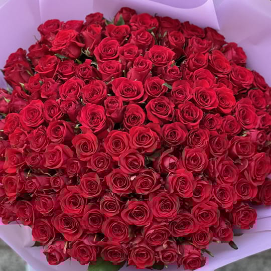 101 красная роза + фото – доставка цветов в Пешавар