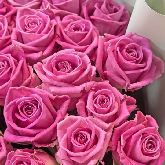 Bouquet 25 pink roses – flower delivery in Pushcha-Voditsa