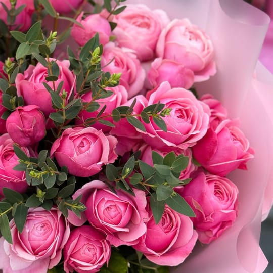 11 рожевих піоновидних троянд – доставка квітів у Сан-Хосе (США)