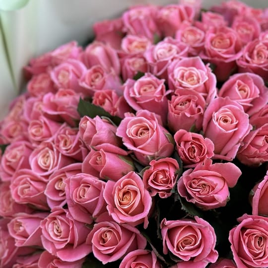 101 коралова троянда – доставка квітів у Нетанія