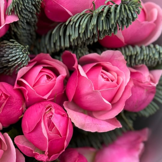 Зимняя гармония – доставка цветов в Смела