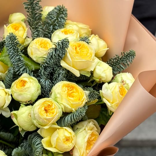 Солнечная зима – доставка цветов в Смела