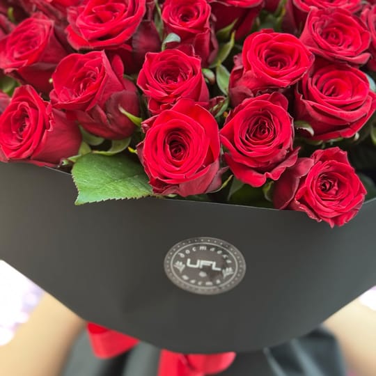 51 червона троянда в чорному пакуванні – доставка квітів у Волинська область